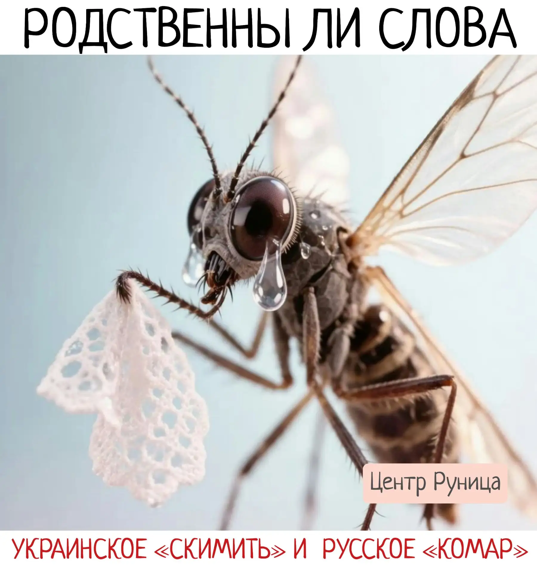🦟🐝На статью об этимологических родственниках «шмель и комар» пришёл прекрасный вопрос...