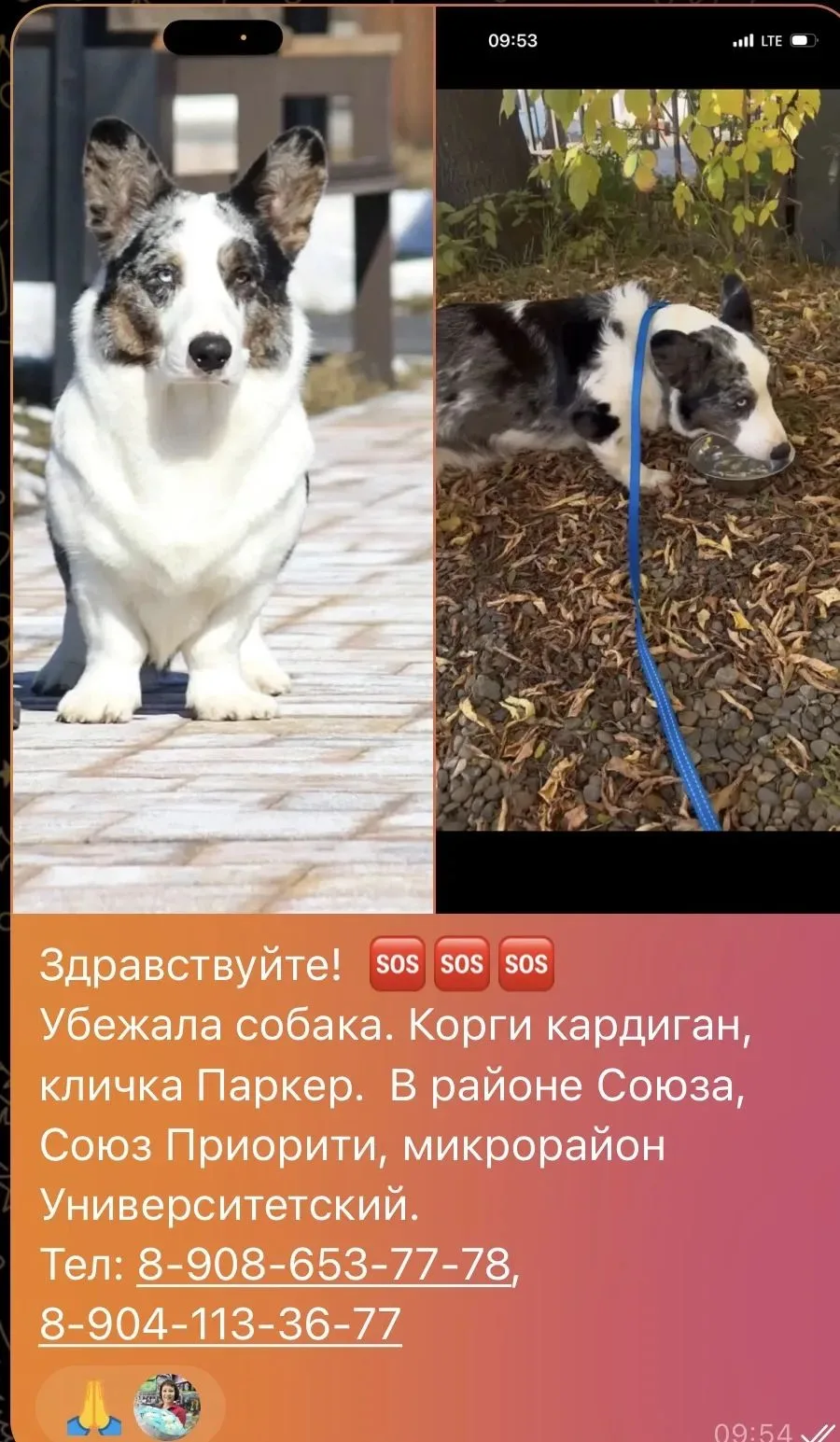 нашлась ❤️