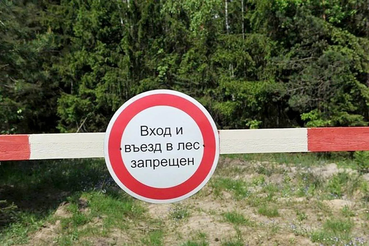 В Оренбуржье действует запрет на посещение лесов