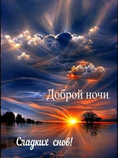 🩷🌙 Доброй ночи, дорогие читатели!