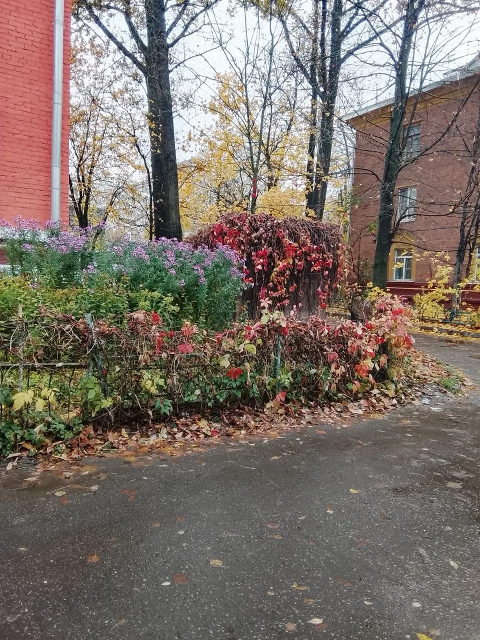 Доброе утро, всех с пятницей ❤️