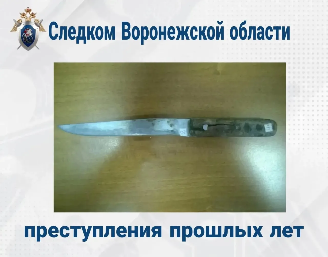 В Воронежской области местный житель предстанет перед судом за убийство 12-летней давности