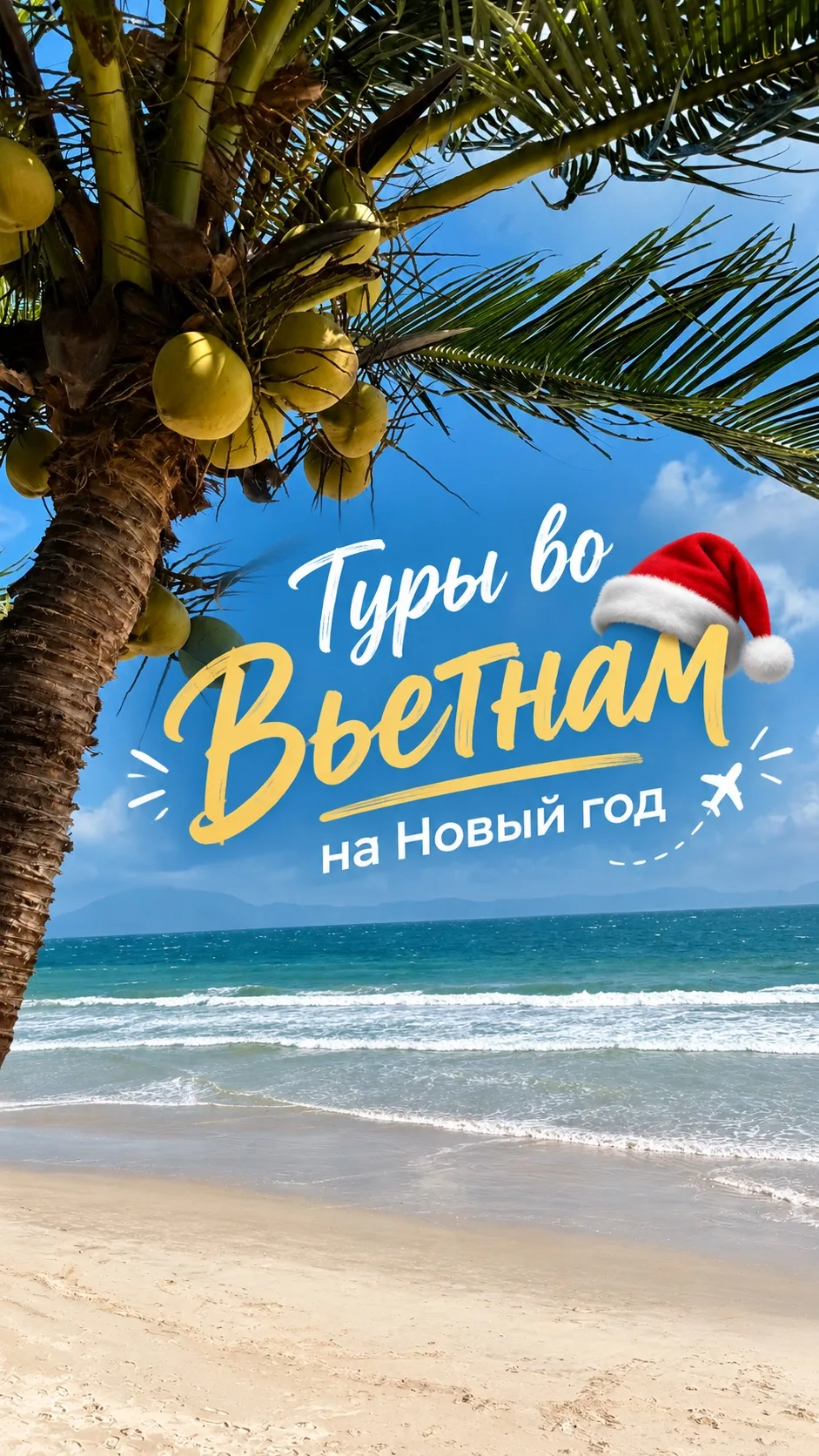 🎅🏼СБЕЖИМ ОТ ПРЕДНОВОГОДНЕЙ СУЕТЫ ВО ВЬЕТНАМ И ВСТРЕТИМ НОВЫЙ ГОД ПОД ПАЛЬМАМИ