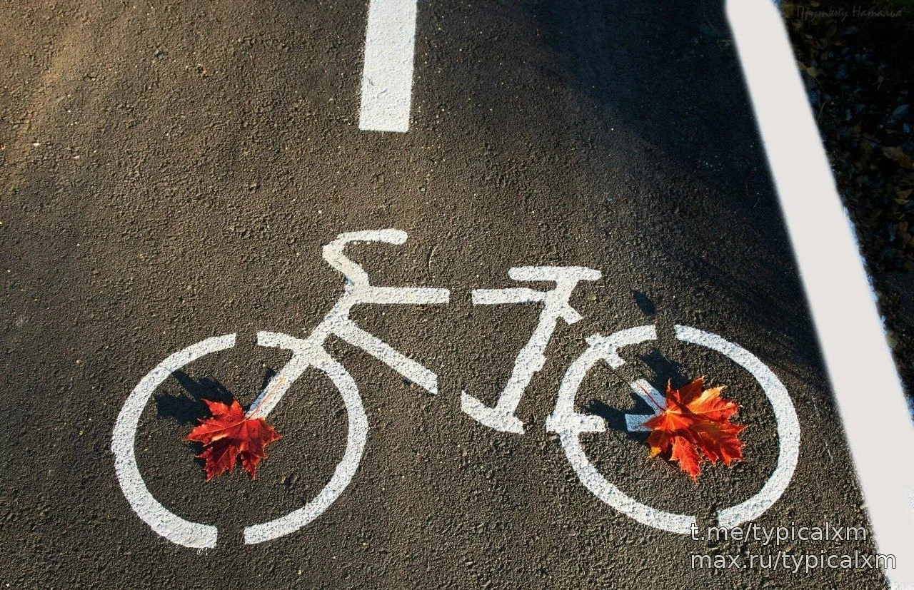 Чуть-чуть осени 🍂
