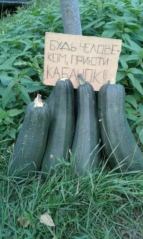 Овощи, мёд и варенье из шишек привезут на ярмарку в Чите