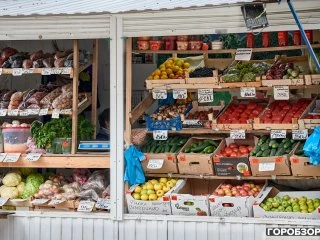 В Башкирии четыре дня будут проходить сельхозярмарки