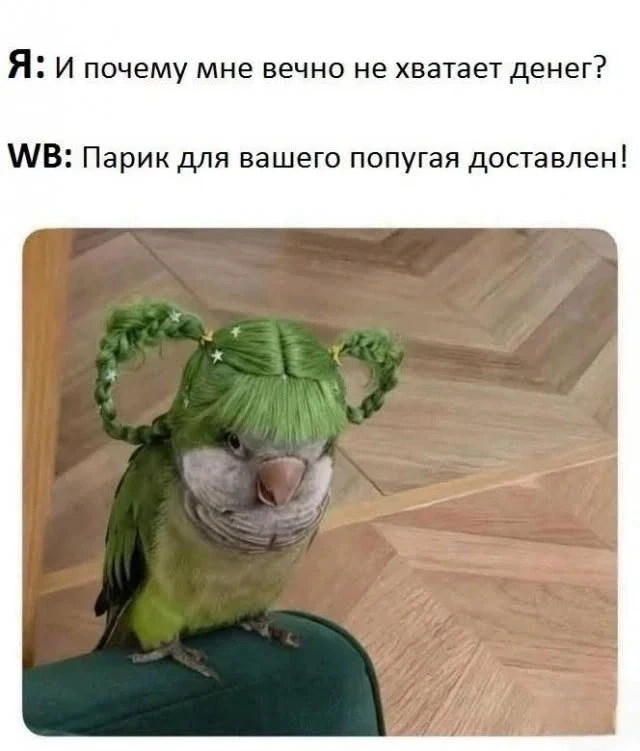 Наш телеграм: https://t.me/votetoprikol90