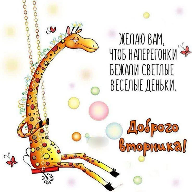 #Вторник 😉
