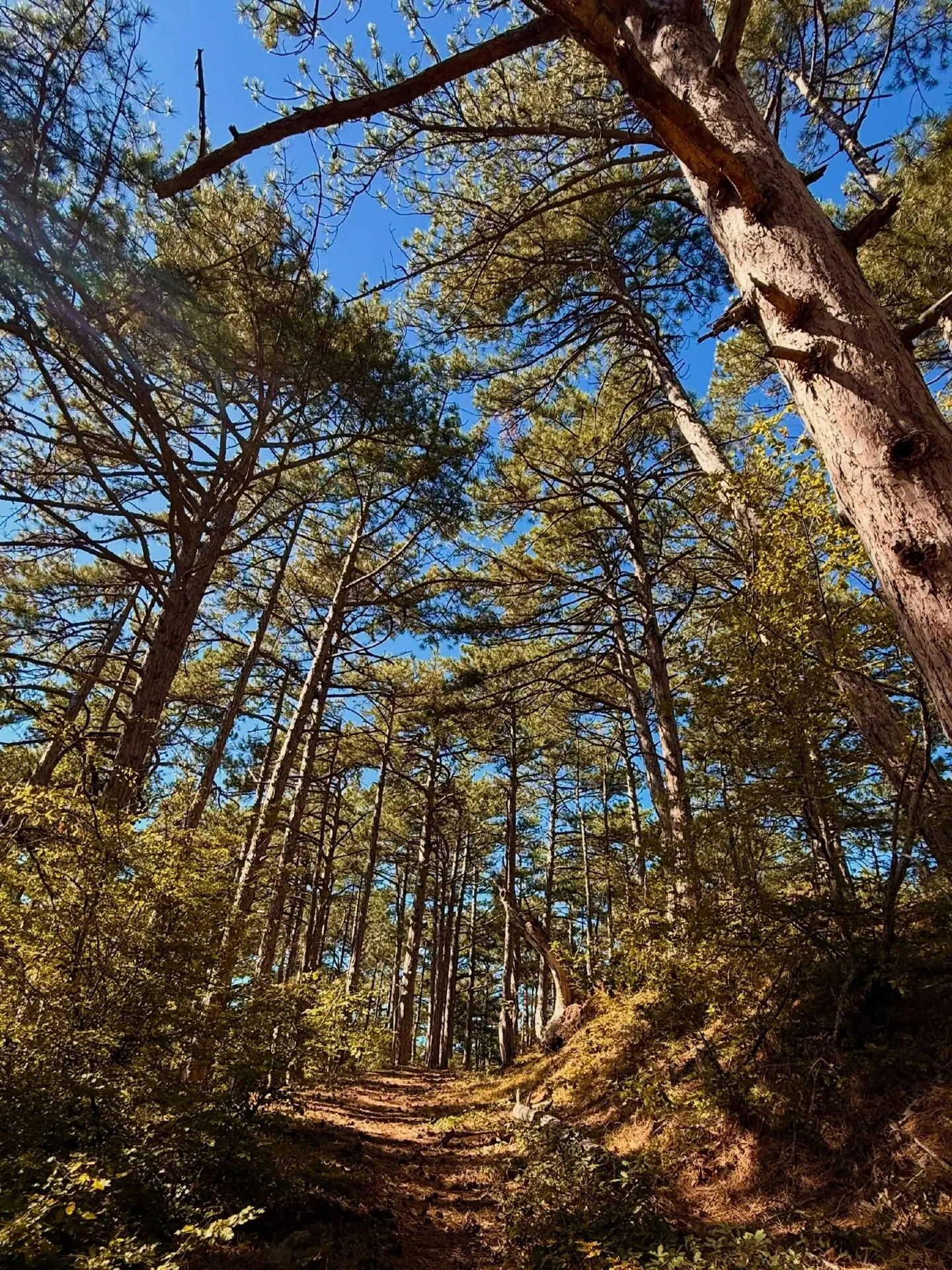 Крымская осень прекрасна везде ❤️