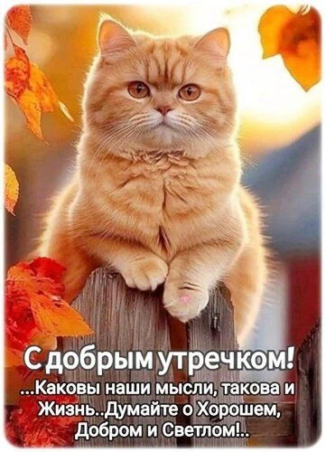 ЖИВЫЕ ОТКРЫТКИ🫶🏻