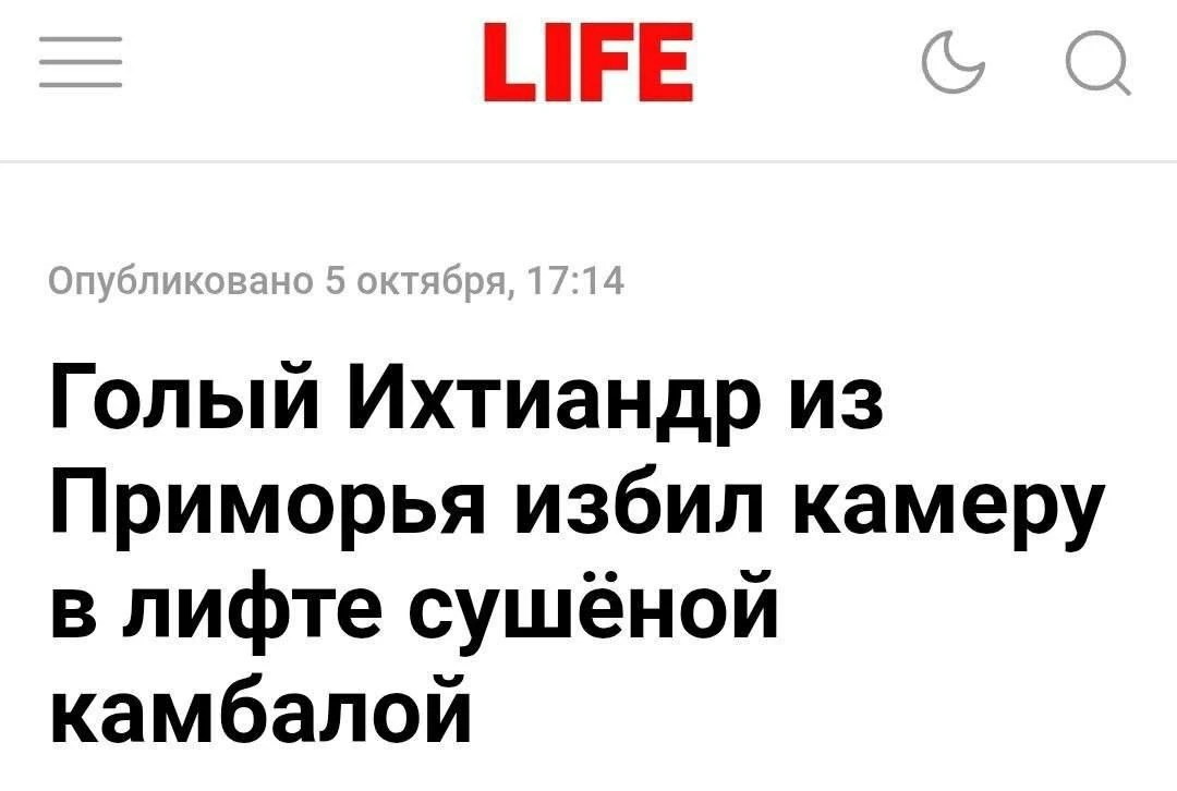 Новостей на ночь глядя👀