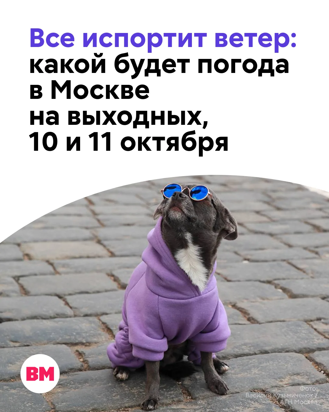 🌤 Октябрь все увереннее вступает в свои права, дни становятся короче, а на улице — про...