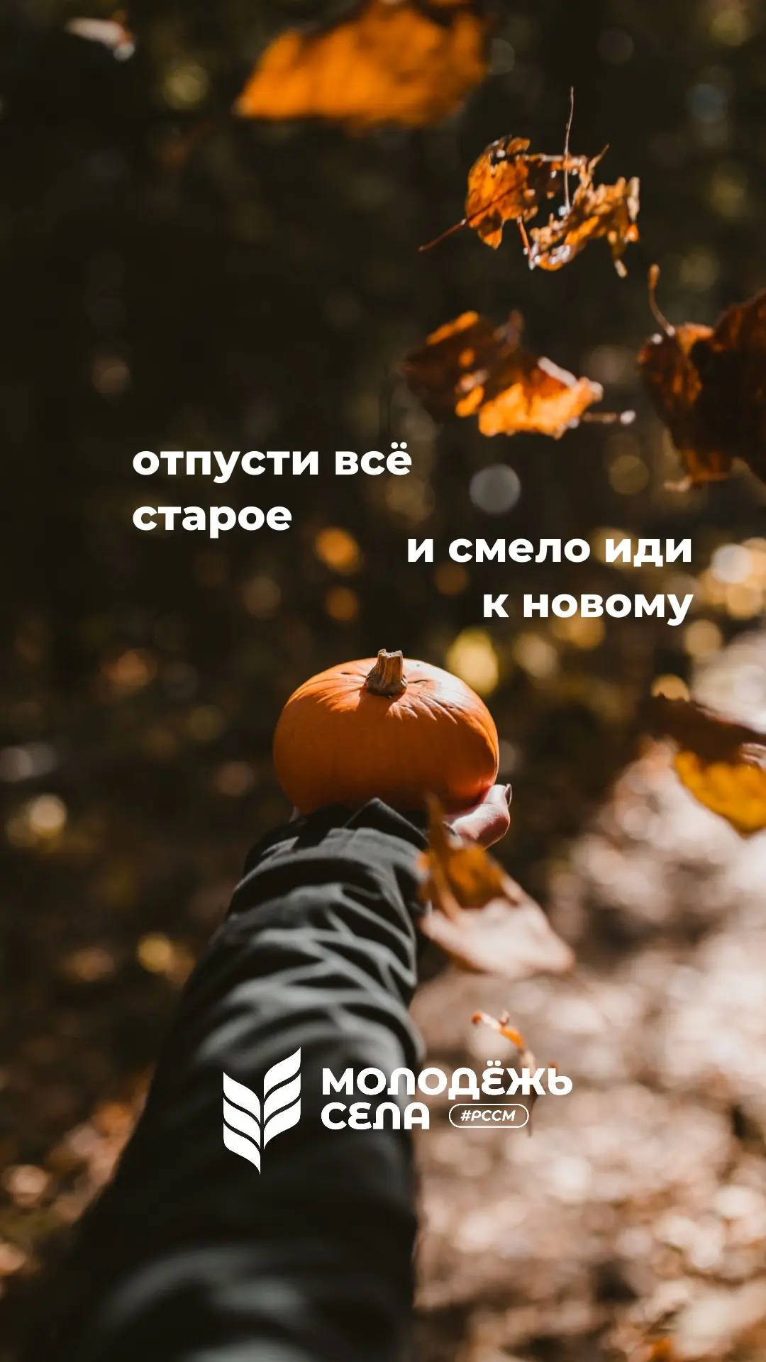 Шел 2 месяц самого уютного времени года 🧣