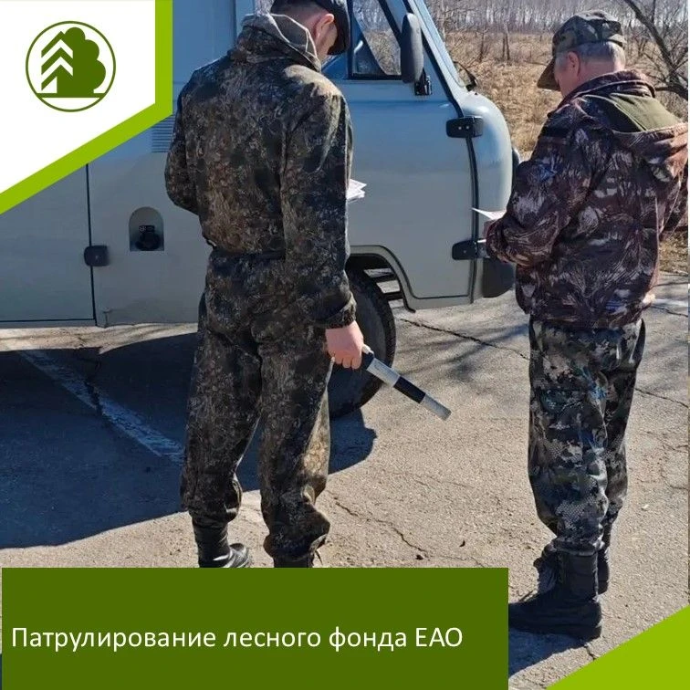 🌿Патрулирование лесного фонда ЕАО: итоги работы и профилактика нарушений
