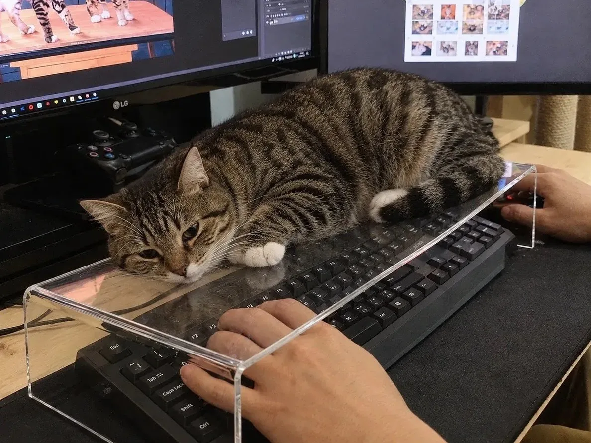 😅 Чехлы на клавиатуры для котов завезли на маркетплейсы.