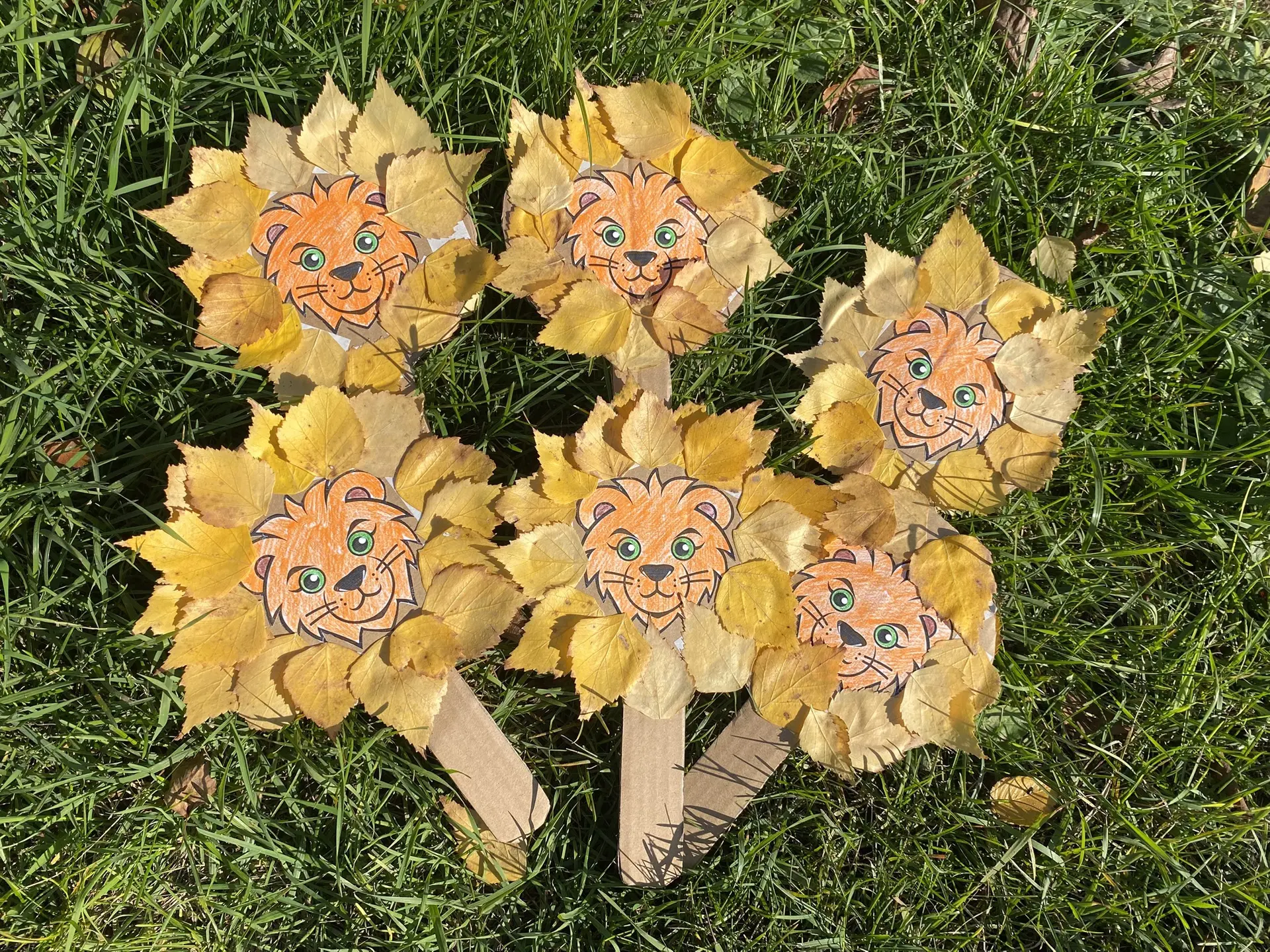 🍂 🦁🍂  Львы из осенних листьев: творческая прогулка в группе «Колобок»