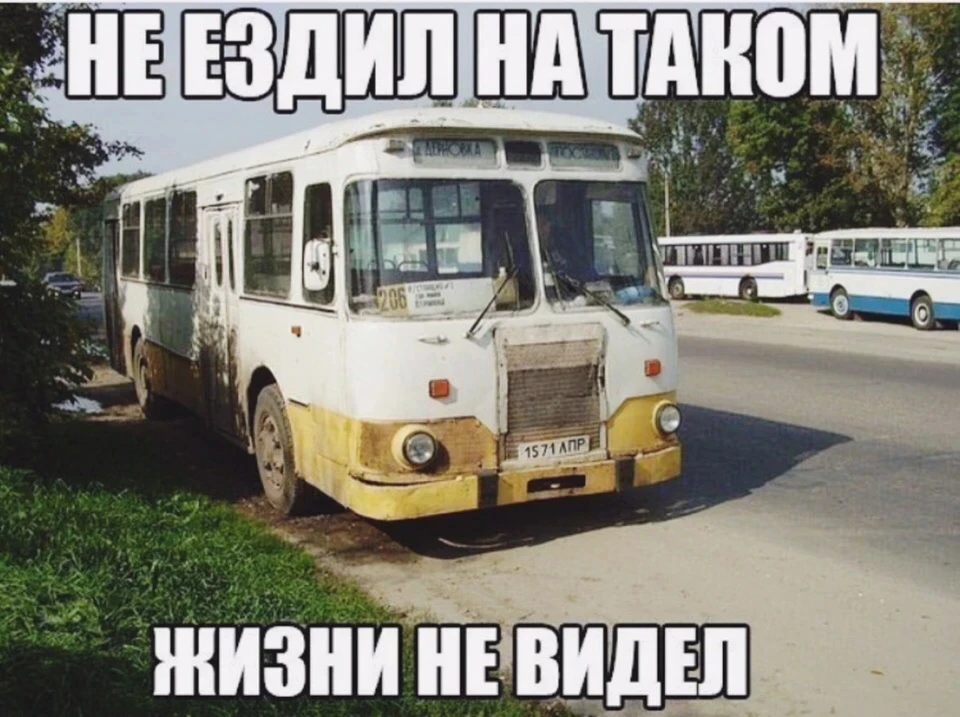 Самое козырное место! 😂 ПОДПИШИСЬ НА КАНАЛ