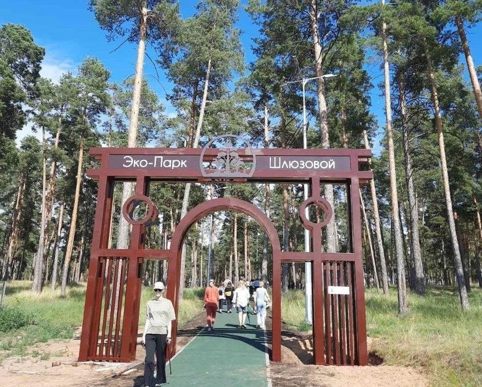 🌳В Тольятти ищут подрядчика для содержания экопарка в Шлюзовом