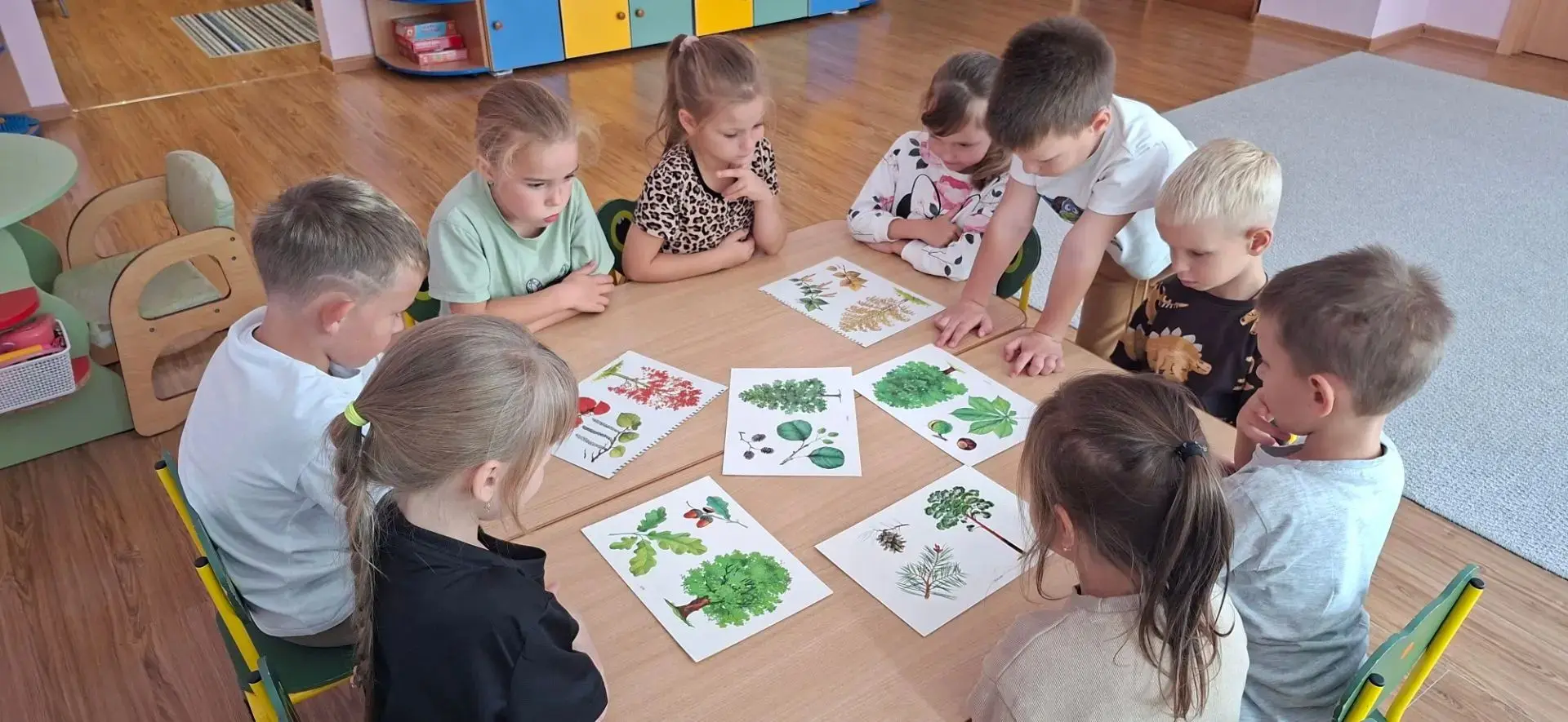 Большая экспедиция группы «Мишутка»: от тундры до пустыни! 🌍🌲