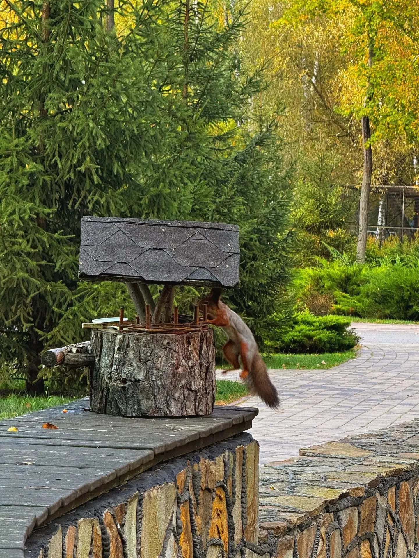 📸 Воскресные фотокарточки из Белгородского зоопарка