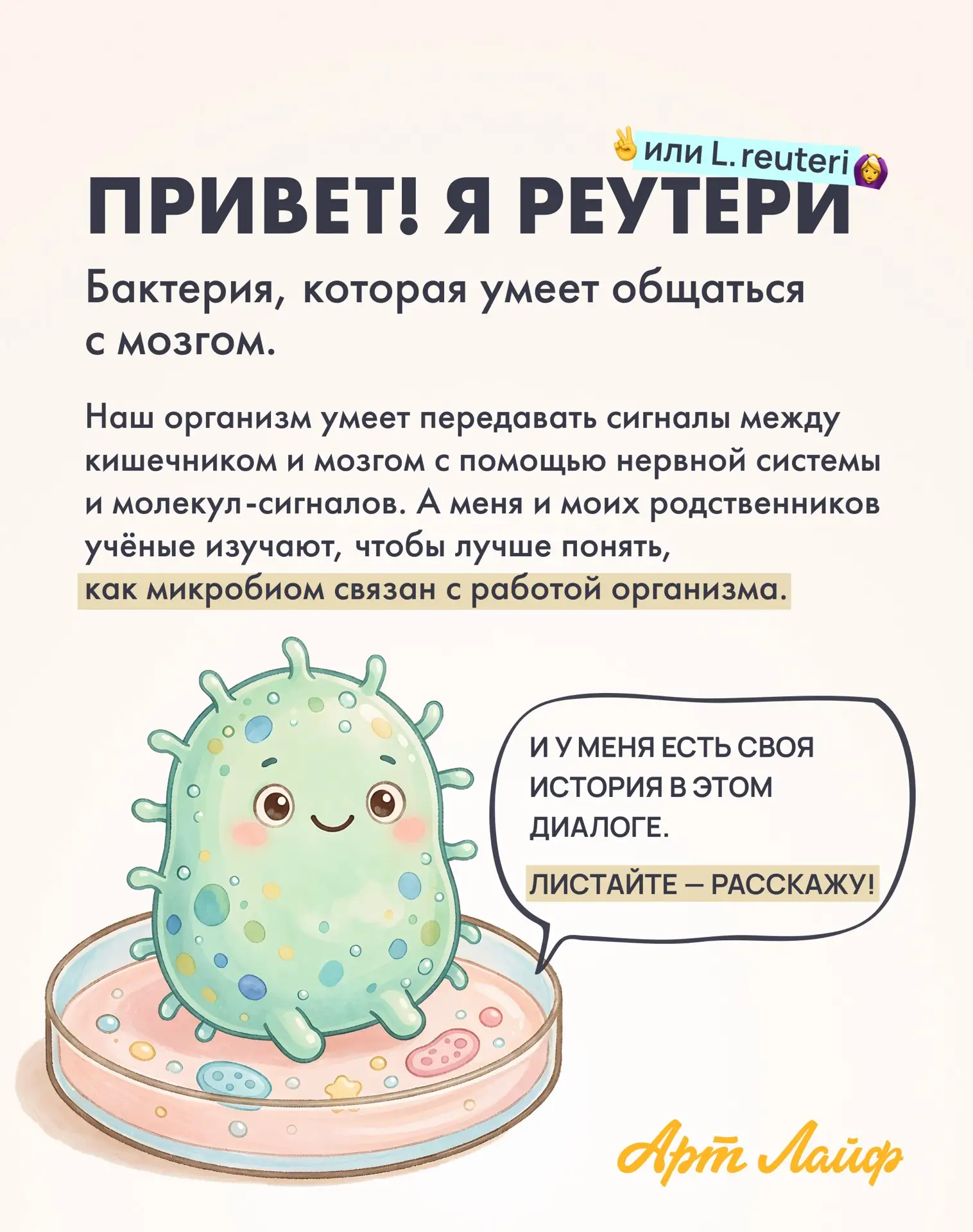Давайте знакомиться! Я Реутери - бактерия, которая участвует в диалоге кишечника и мозг...