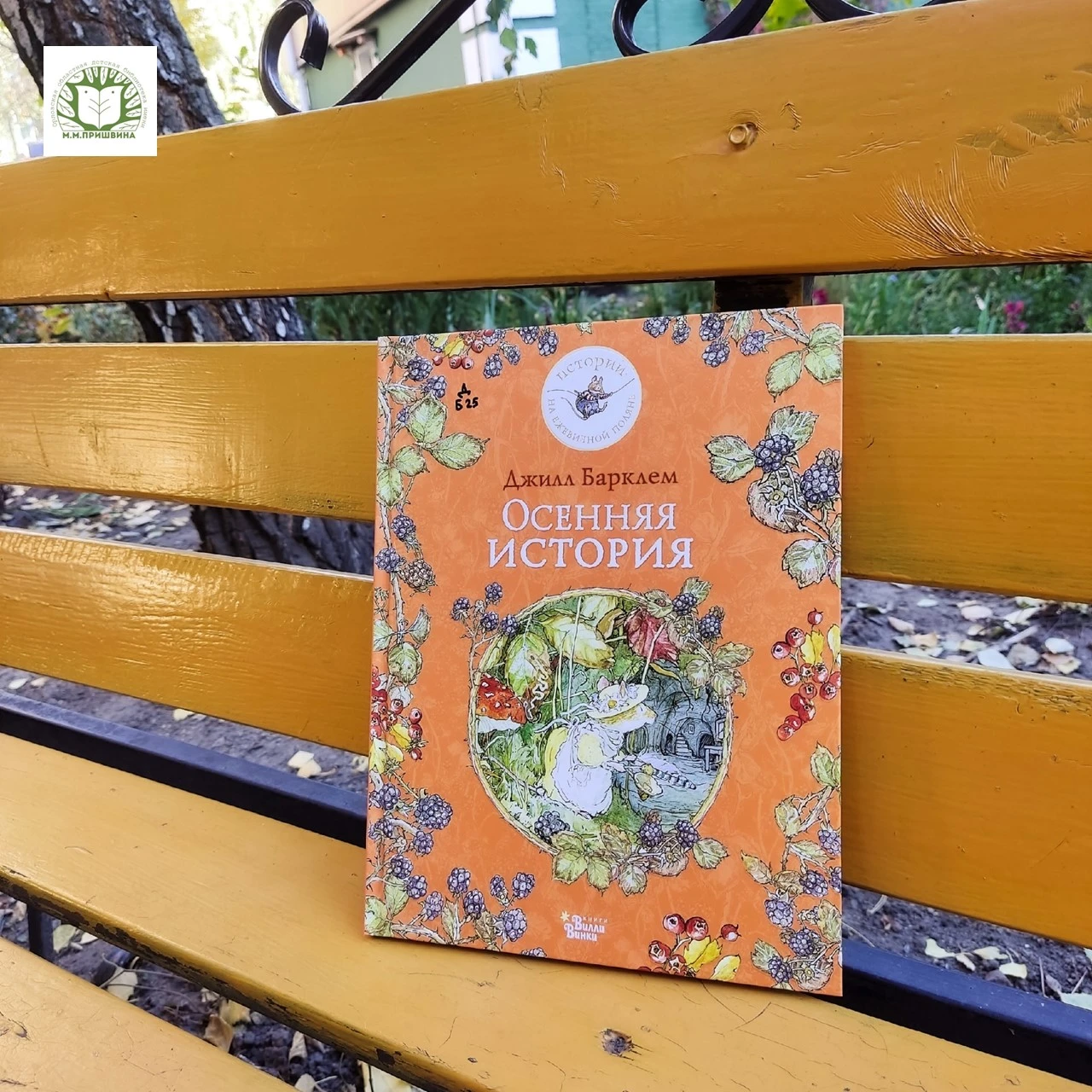 📚 Знакомимся с новинками!