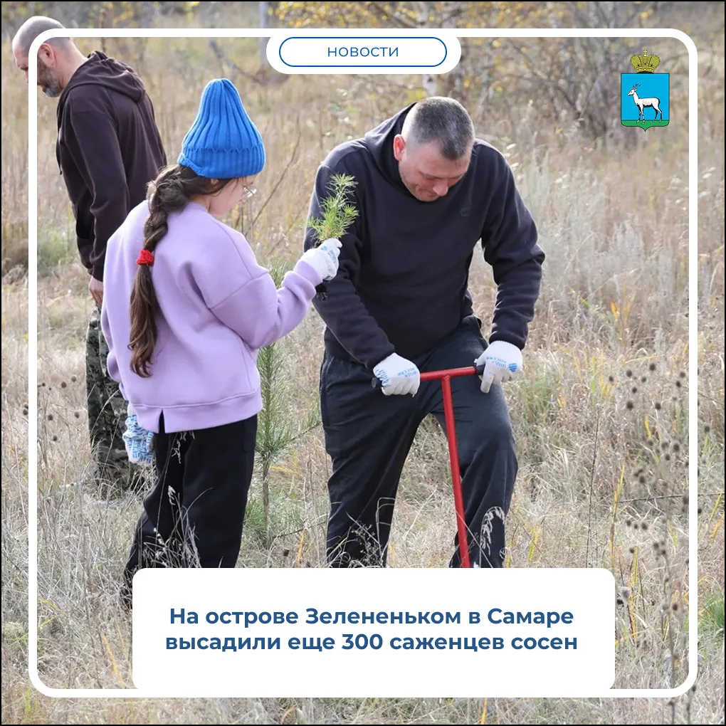 🌲 10 октября на острове Зелененьком прошла экологическая акция, объединившая 150 участ...