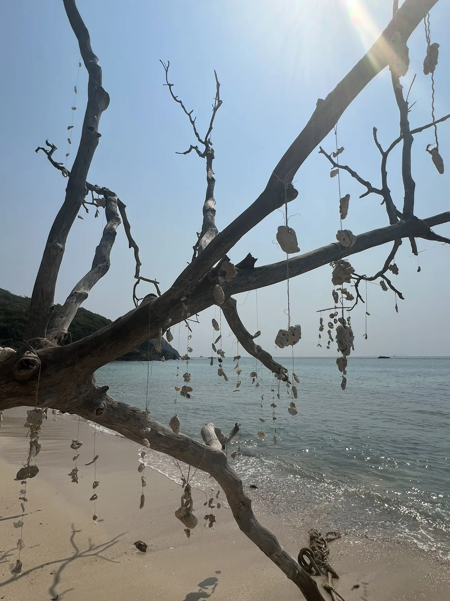 🇻🇳🌴 ВЬЕТНАМ, КОТОРЫЙ ХОЧЕТСЯ СОХРАНИТЬ В СЕРДЦЕ!