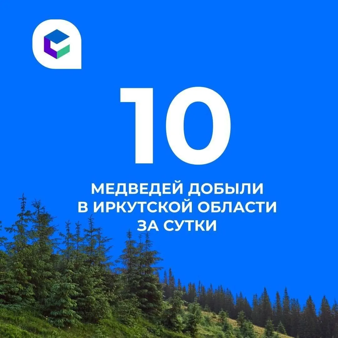 🔹 За сутки в Иркутской области добыли 10 медведей