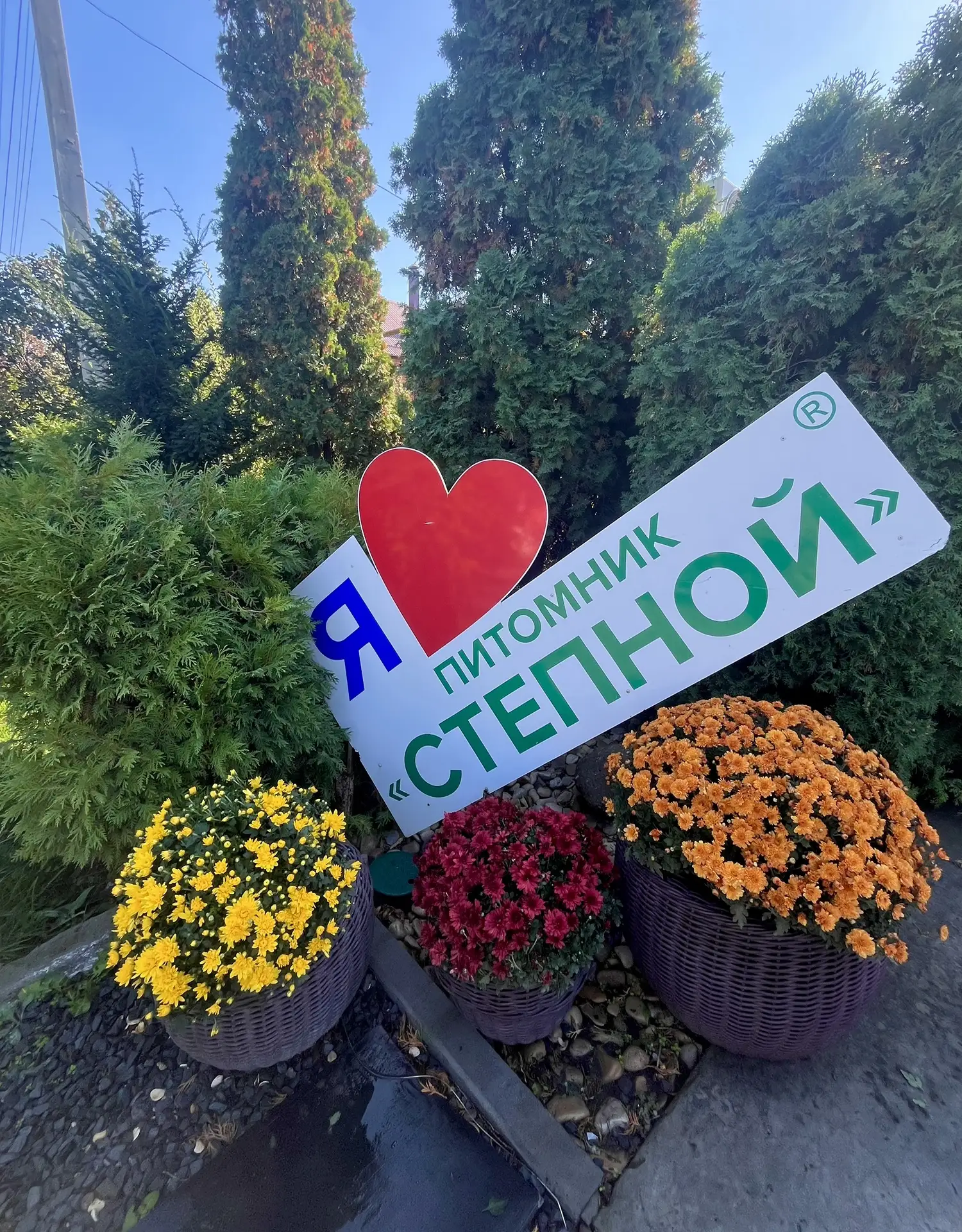 Друзья🥰желаем,чтобы вечер воскресенья принёс ощущение, что день прошёл не зря, а впере...