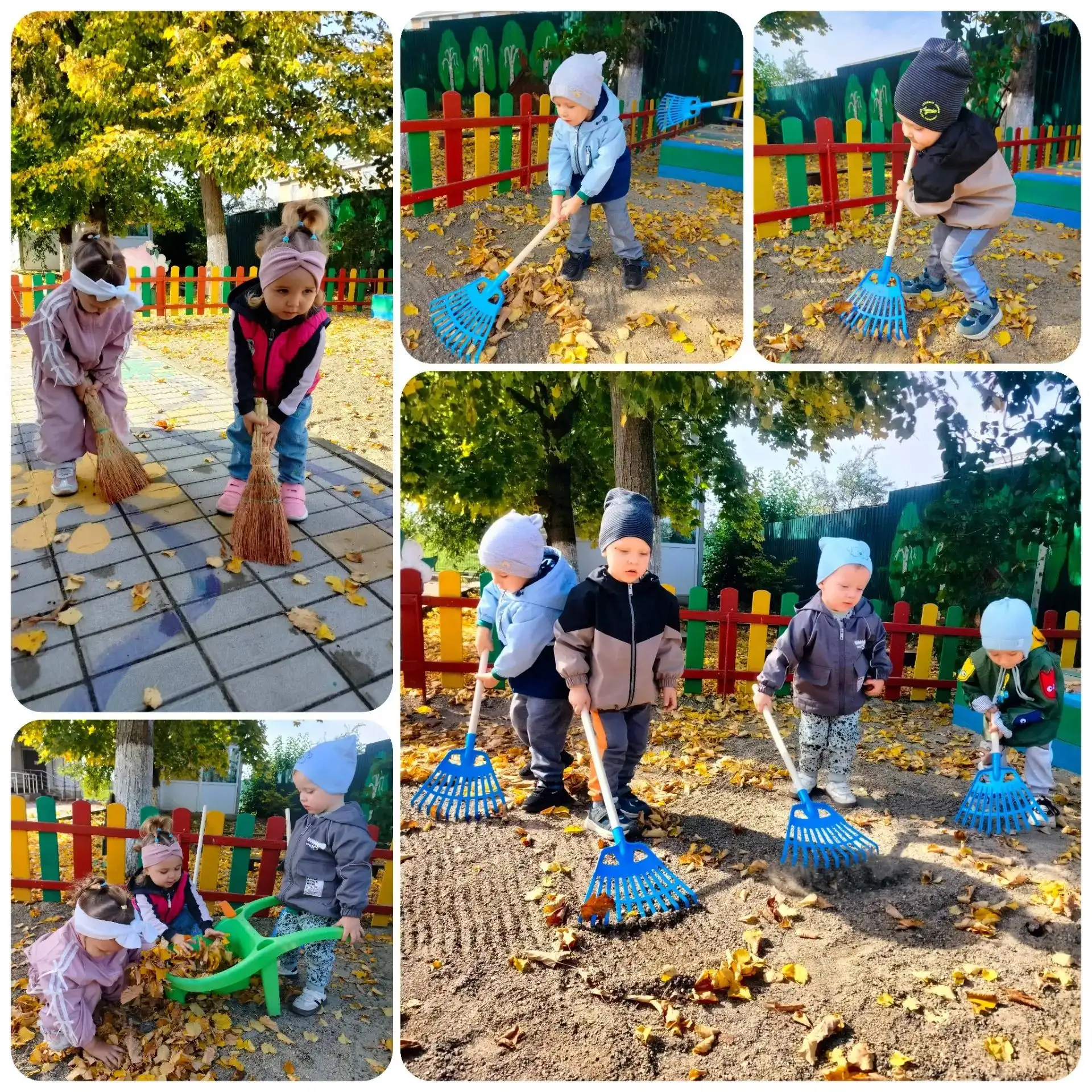 🍂 Осенние хлопоты в детском саду! 🍂