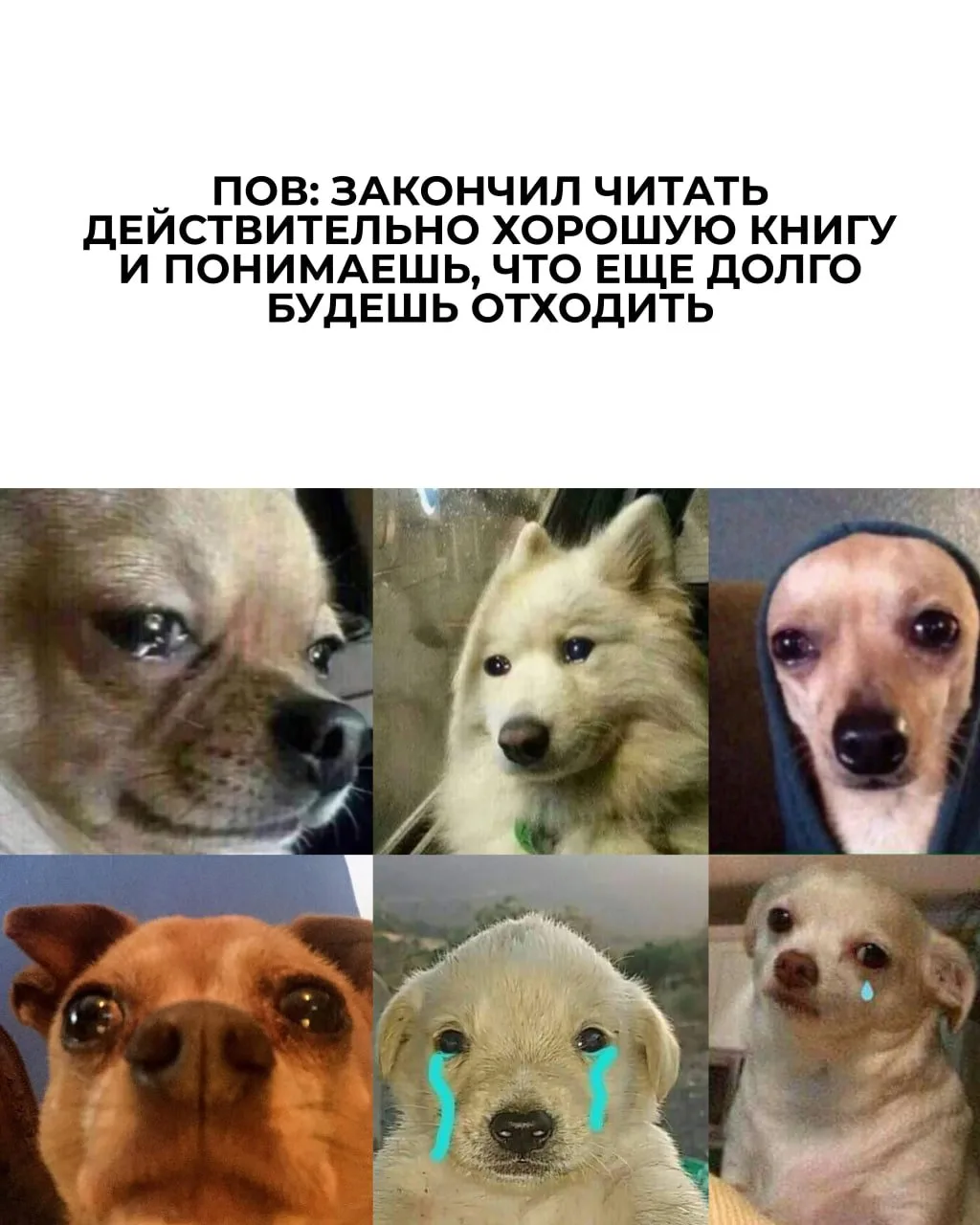 Доброе утро, книголюбы!