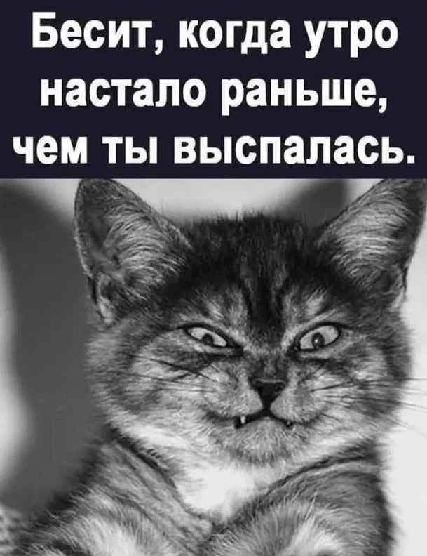Солнце ☀️ ♥️