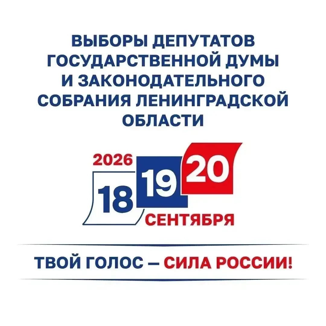 В честь важного общественно - политического события: выборы в Государственную Думу Феде...