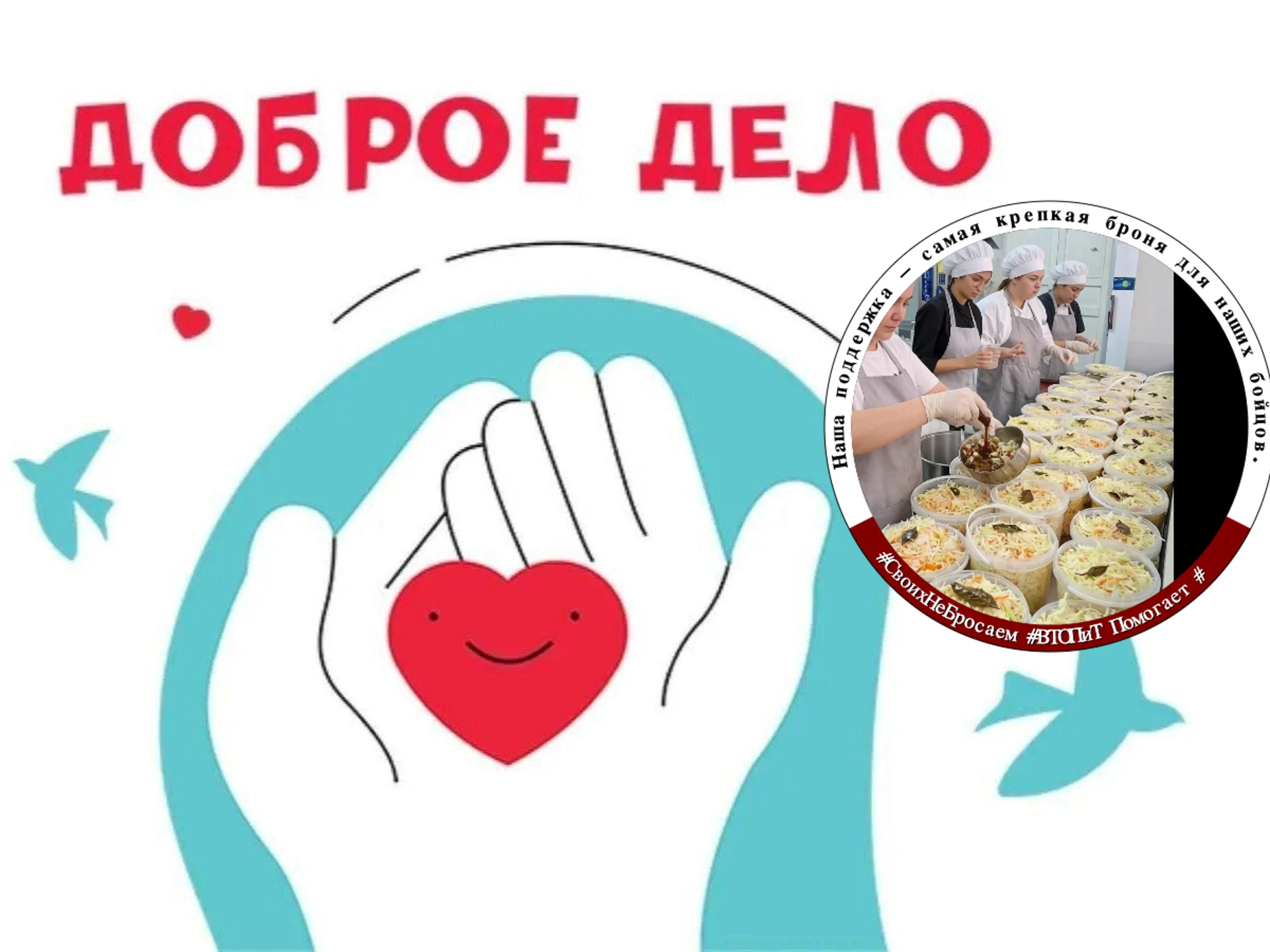 🍲 Марафон по капусте завершен!