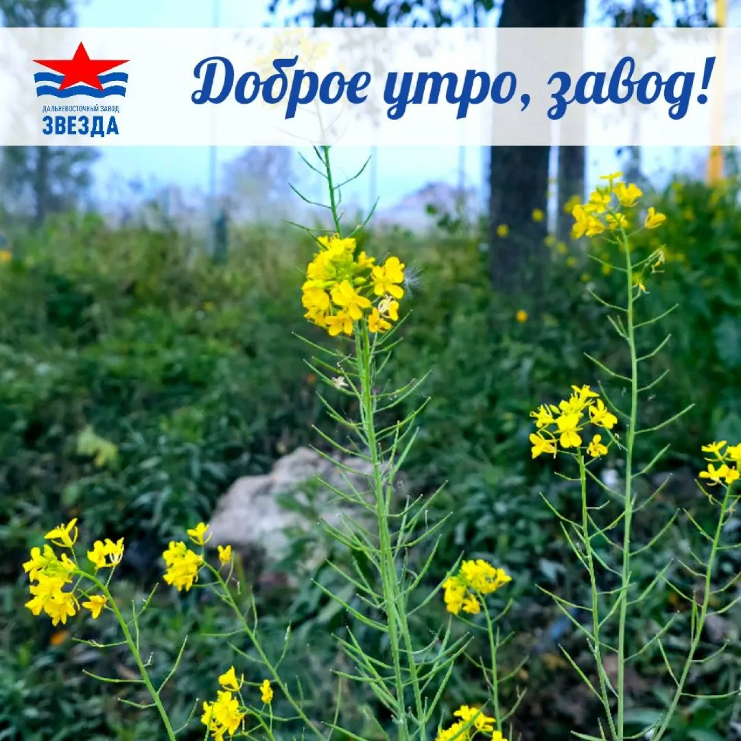 ☕Доброе утро, коллеги!