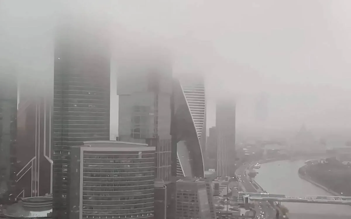🌫Туман накроет Москву с 16:00, предупреждают власти.