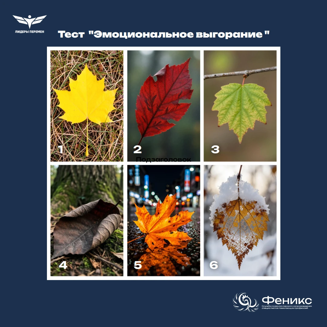 Как вы сегодня, коллеги?