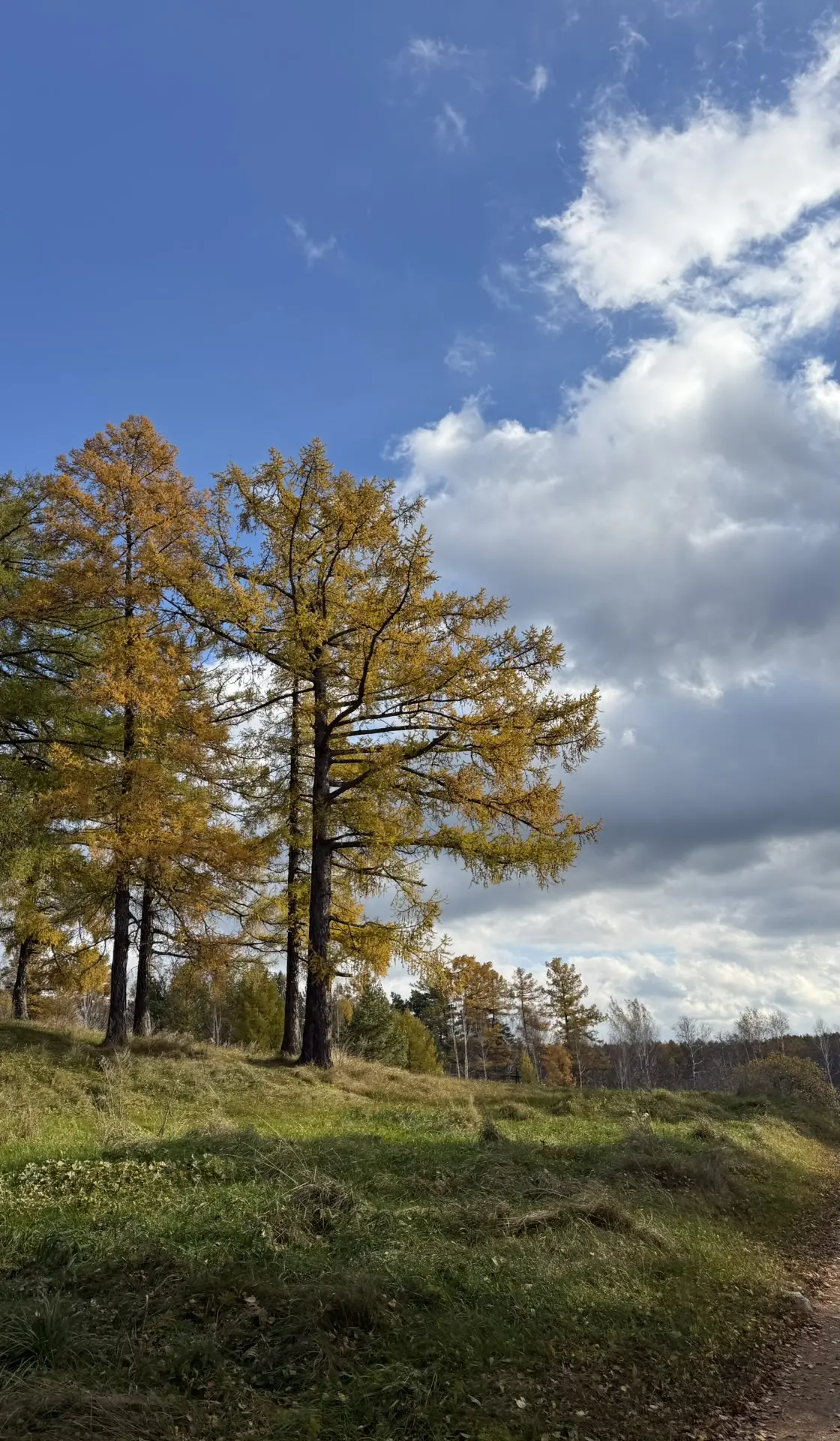 Озеро Аракуль, место, где время остановилось 😍 нет связи, нет суеты, только природа и ...