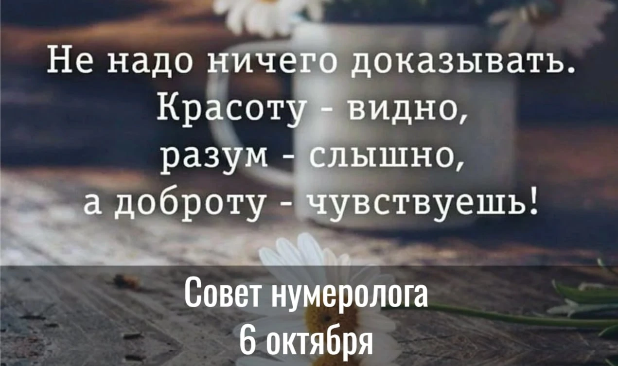 «Никогда никому ничего не доказывайте. Это ваша жизнь, а не теорема по геометрии»