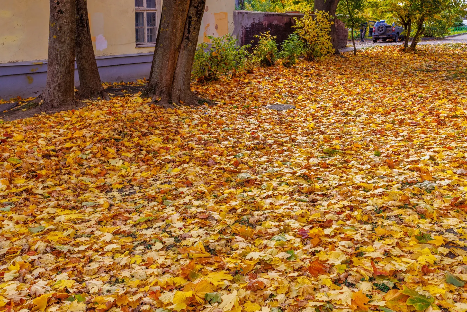 😍Коломна осенняя