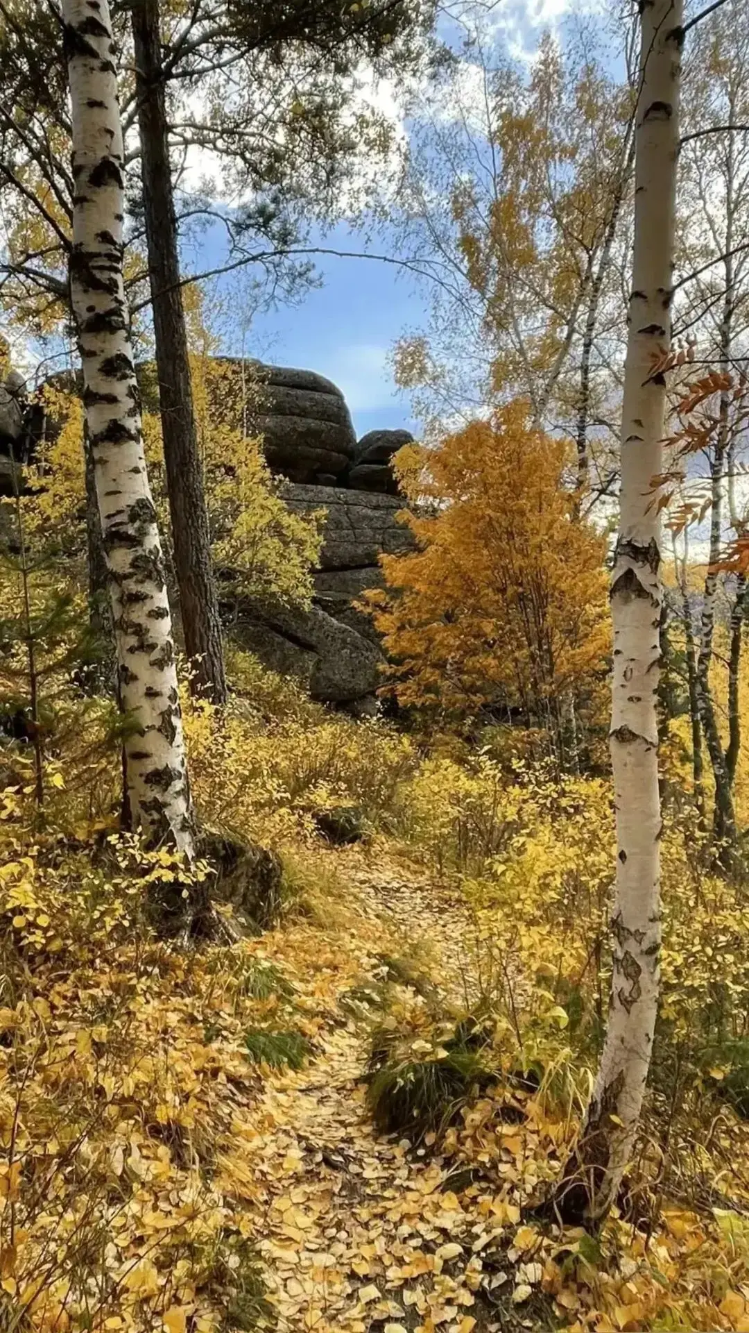 Всех приглашаем на прогулку😍