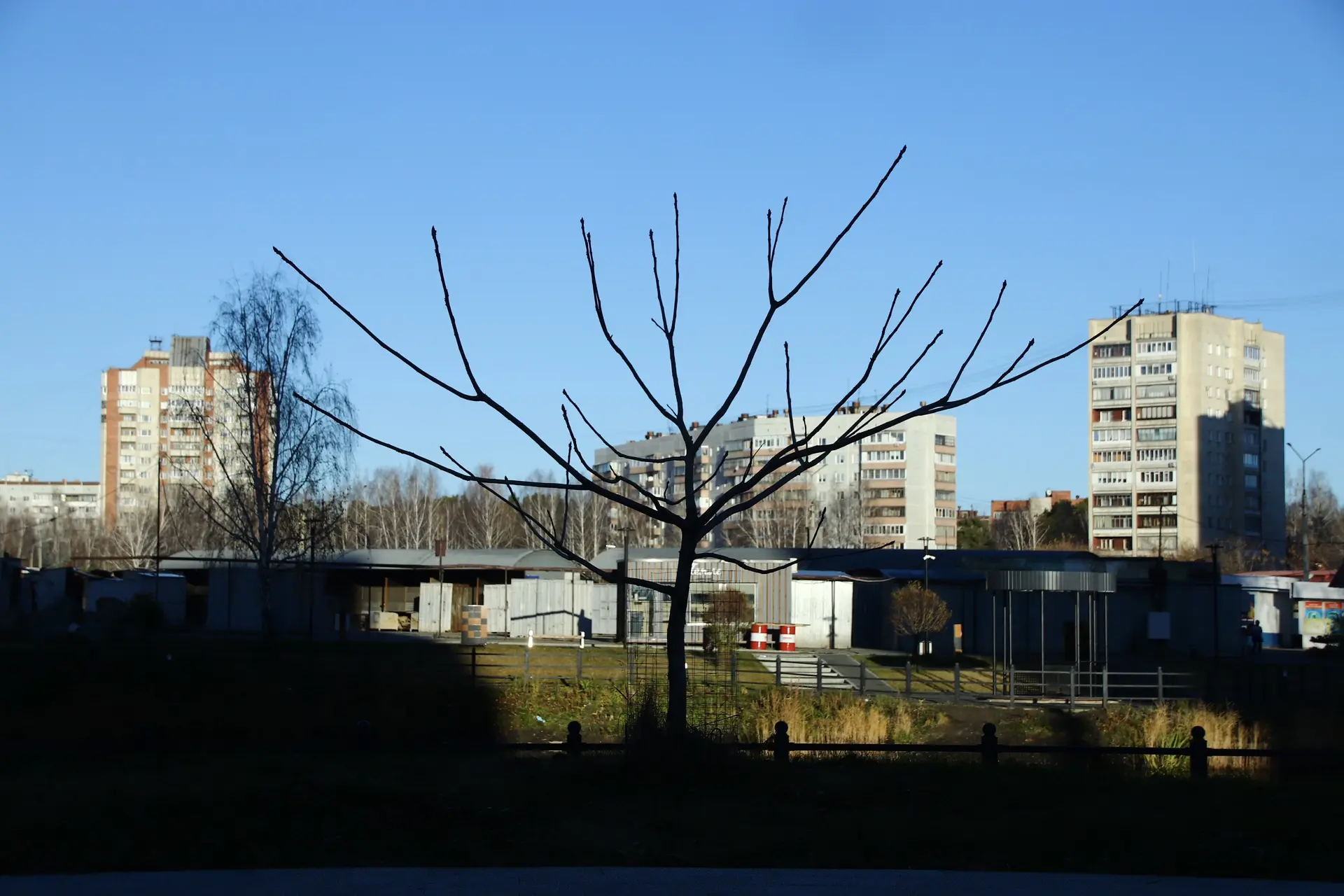 Доброе утро.