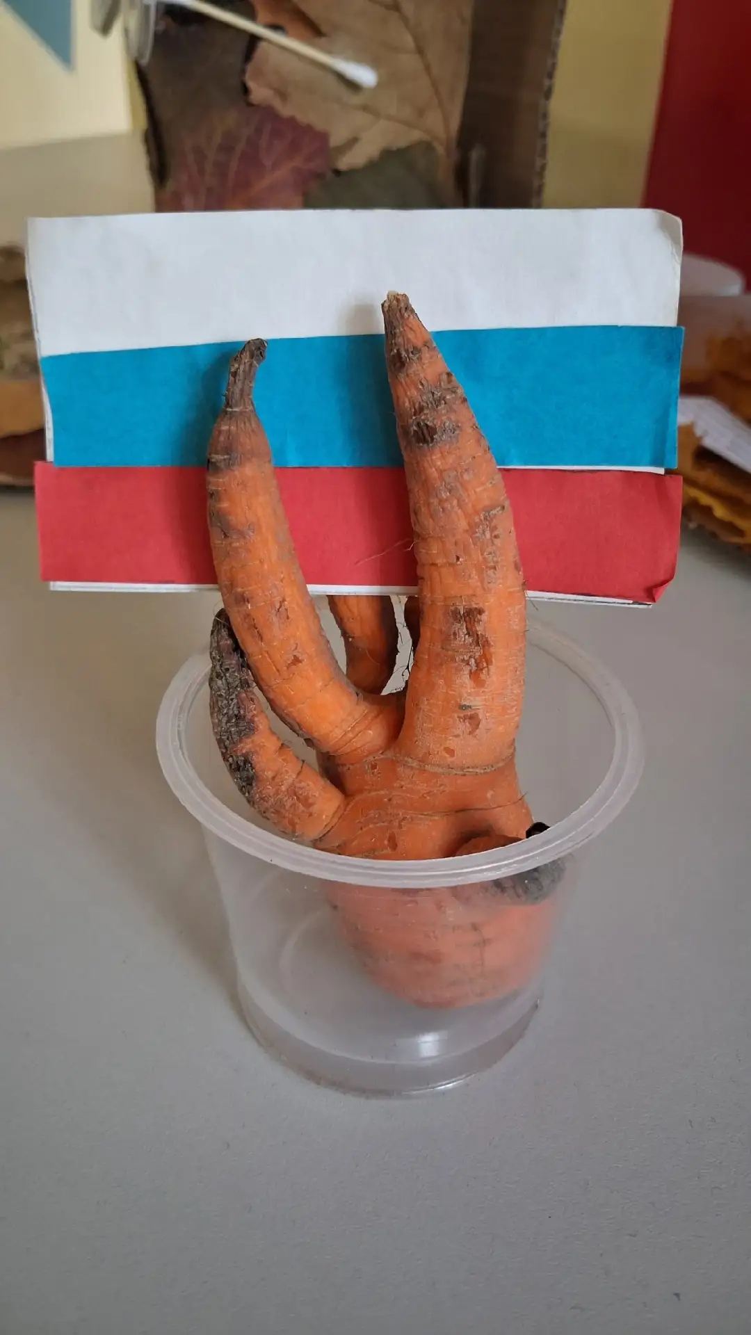 🇷🇺 Номинация №3: «Чудеса природы» — Эксклюзив года и гордость агрономии! 🇷🇺
