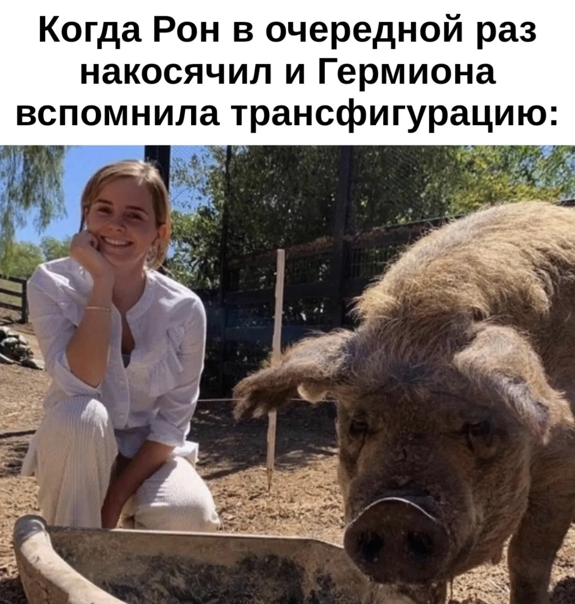 Эмма Уотсон Гермиона Грейнджер