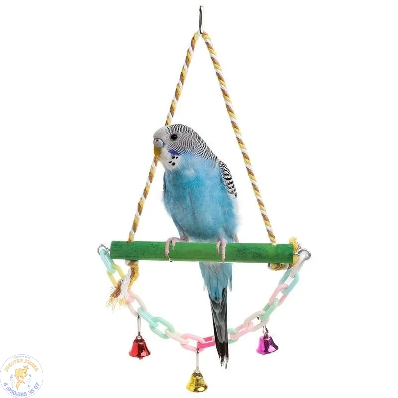 🤔 Зачем попугаю качели в клетке? Давайте разбираться! 🦜✨