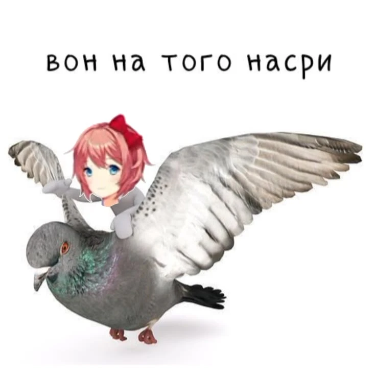 Все наши каналы