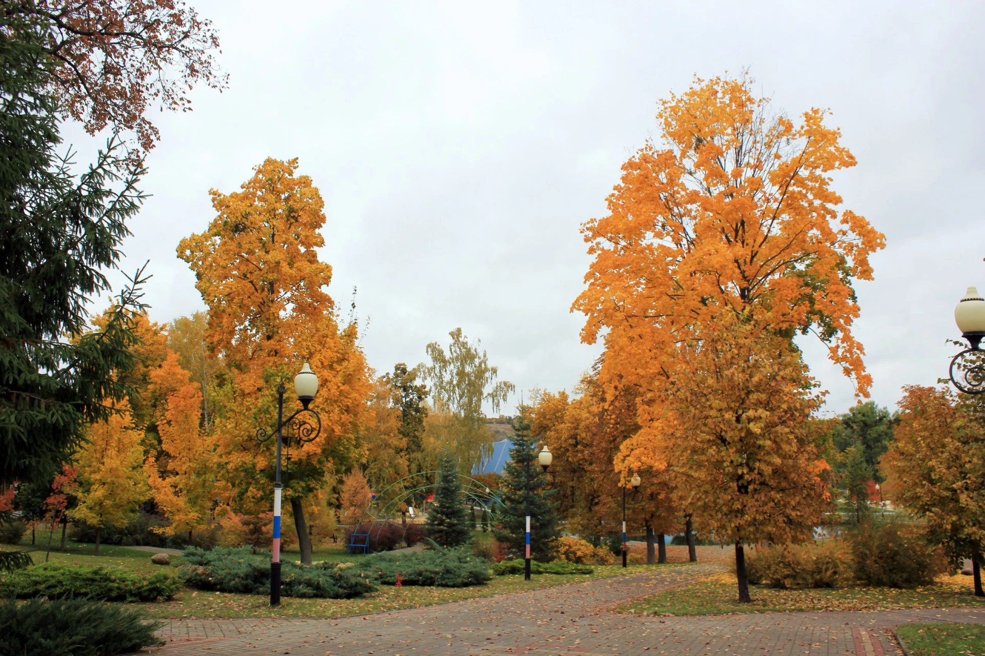 🍂 Пятница, Борисовка!
