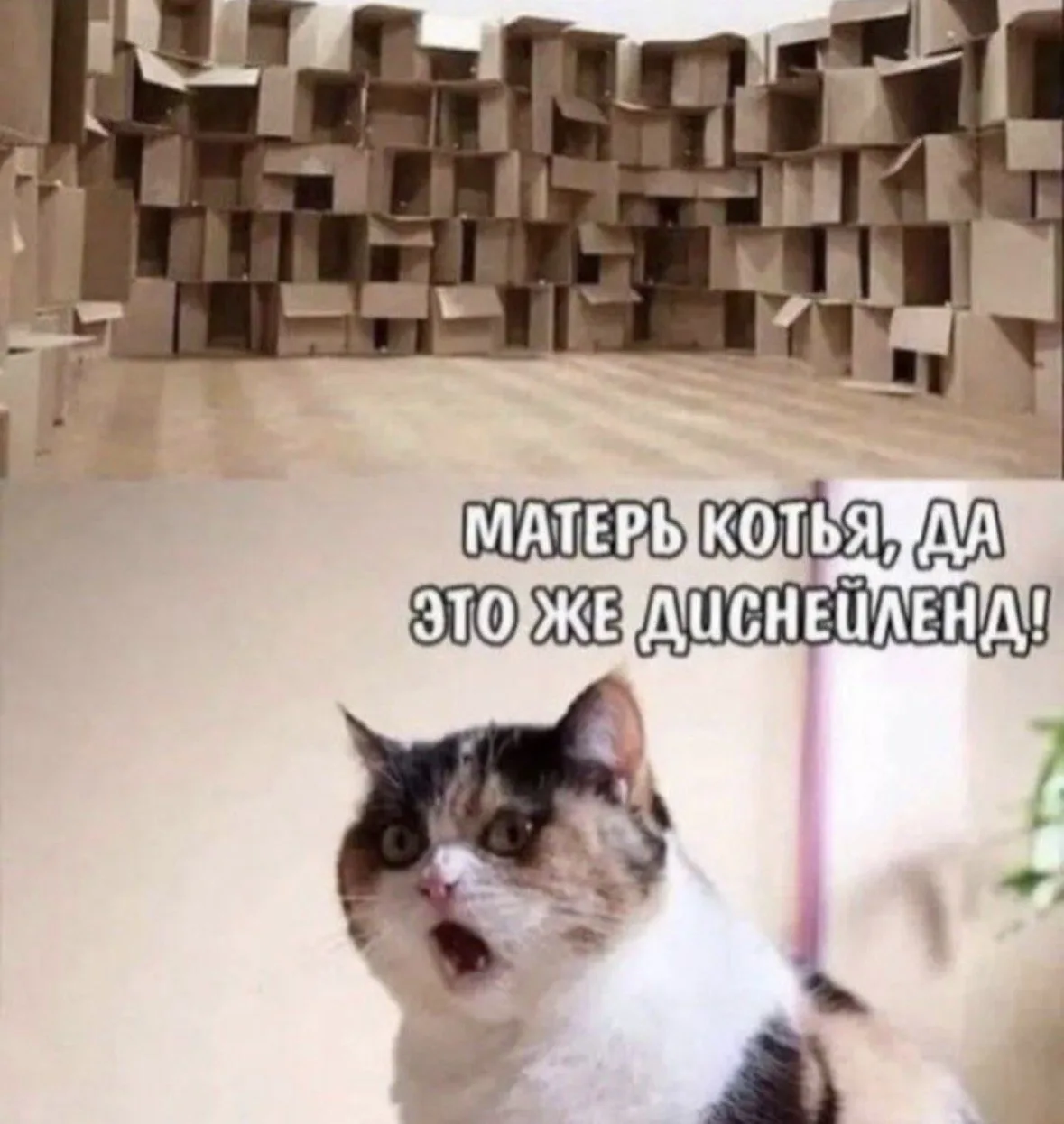 Подпишись на Кринжулю 👉🏻 в TG, в VK и в Макс