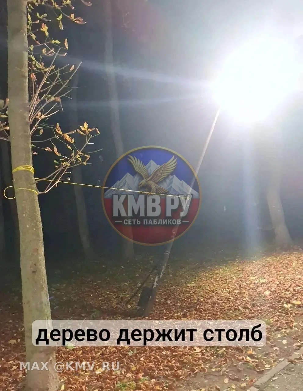 А зачем нам новые фонари, когда можно вот так  в парке сделать и все хорошо типа😭